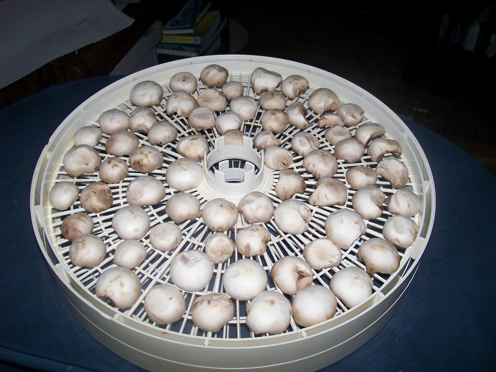 Dehydrating Way Beyond Jerky Dehydrating Button Mushrooms