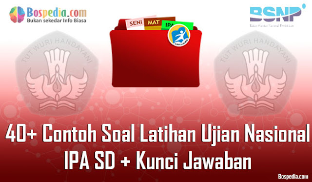 40+ Contoh Soal Latihan UN IPA SD + Kunci Jawaban