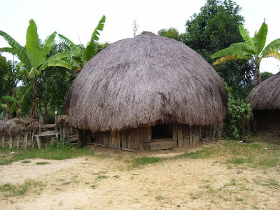 Desain Rumah Honai Desain Rumah Honai