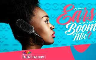 MultiChoice Talent Factory Academy Program 2021 for Aspiring Film & Television Creatives | Apply Now