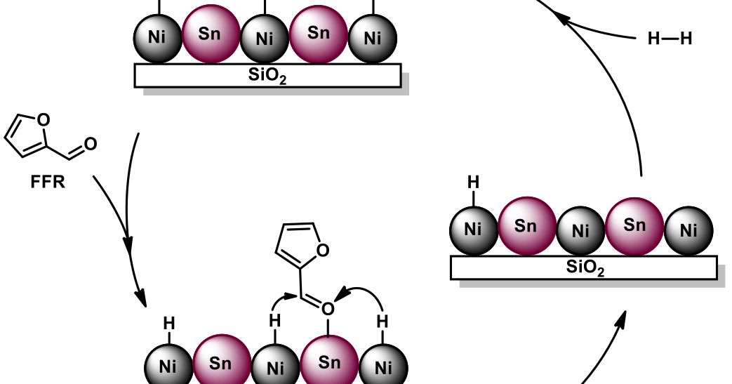 The examples of catalysis