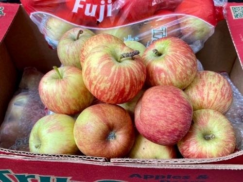 Táo túi Wow (Nam Phi) 3kg/túi