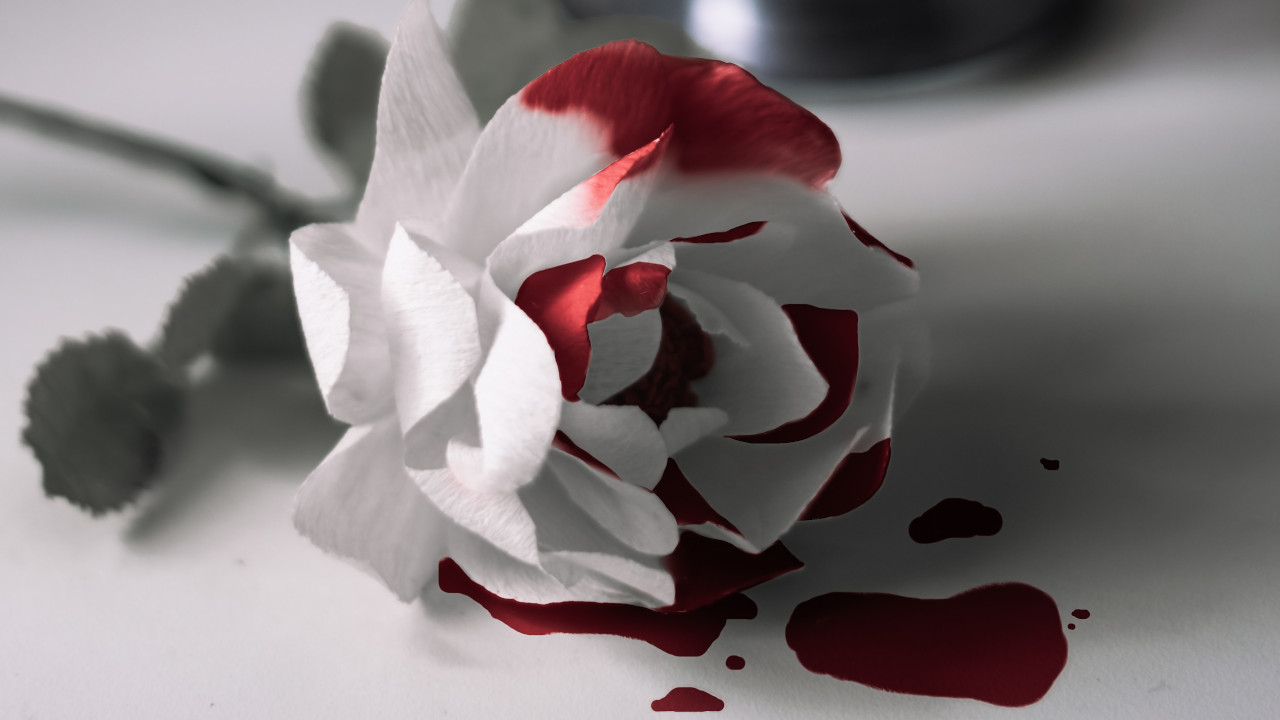 The grave and the rose essay 08 image