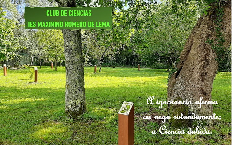 CLUB DE CIENCIA MAXIMINO ROMERO DE LEMA
