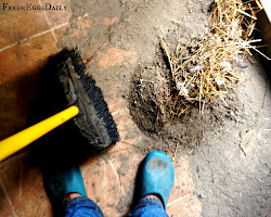 litter deep chicken coop method composting winter pine aka