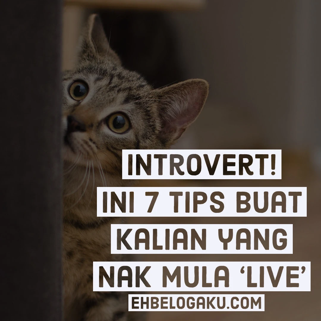 INTROVERT! Nak Tak Buat LIVE? Meh sini, baca 7 Tips LIVE Buat si Introvert