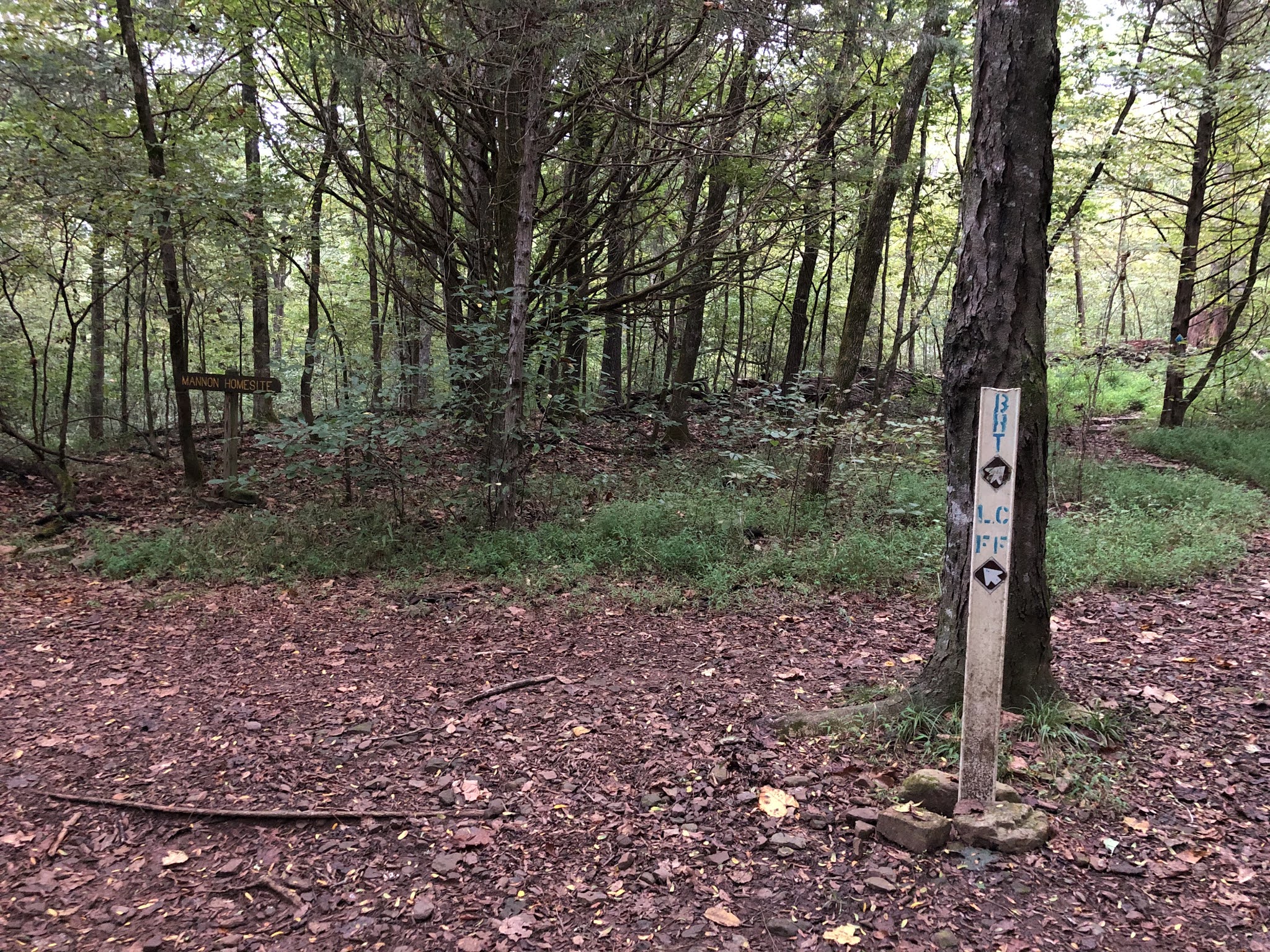 Lee Creek, Devil's Den State Park, Winslow, Arkansas
