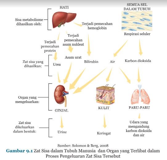 Ipa Kelas 8 Ayo Kita Diskusikan Halaman 80 Nurainins Blog