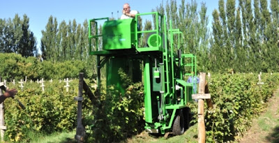 Construyen en Argentina un prototipo de cosechadora mecánica de berries