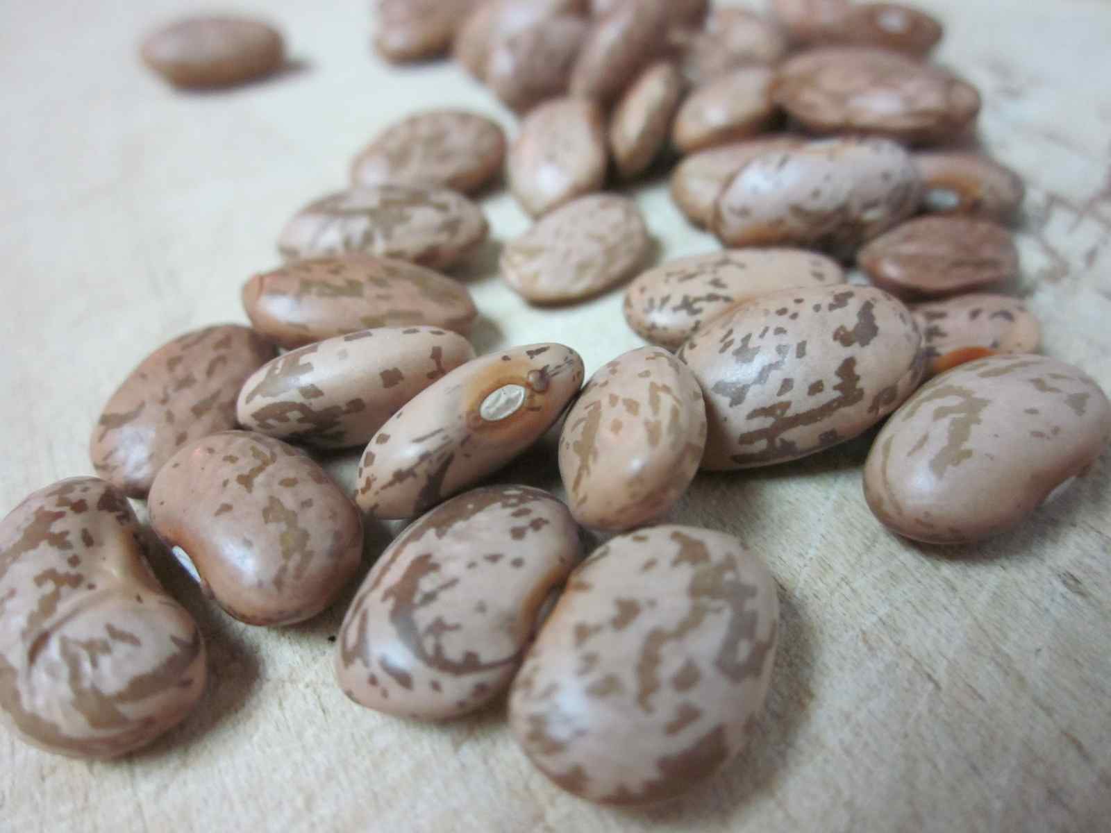 Karen’s Vegan Kitchen Wow Beans (Refried Pinto Beans)