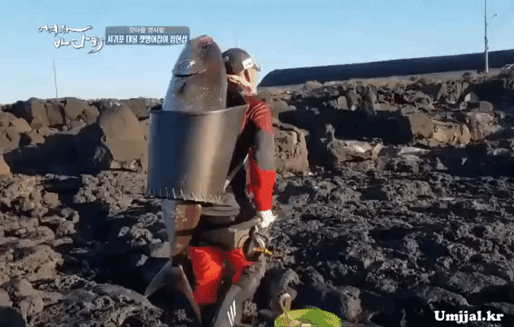 Umjjal_kr_367.gif
