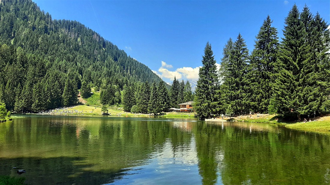 Cosa vedere in Val di Sole ecco le 13 cose da non perdere Montagna