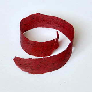 Homemade Fruit Leather by SweeterThanSweets