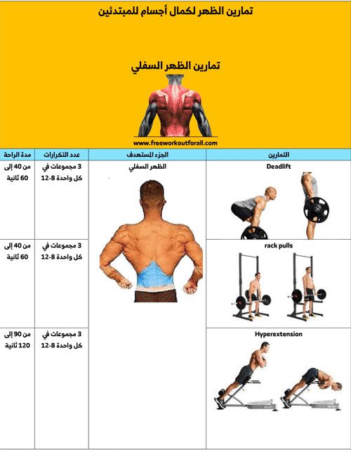 تمارين الظهر كمال اجسام للمبتدئين