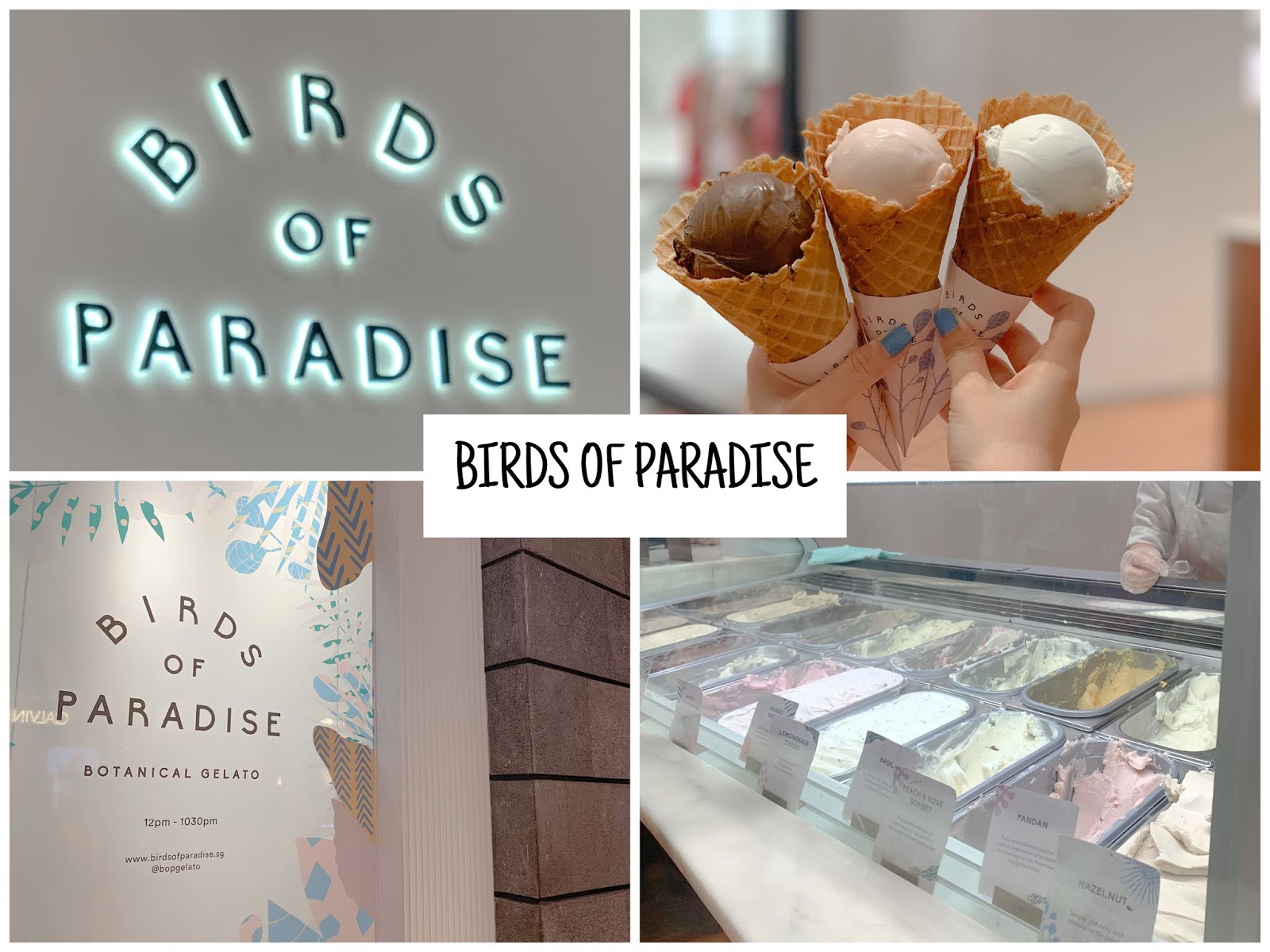 Birds Of Paradise: I Tried This Michelin-Recommended Ice Cream & Here's