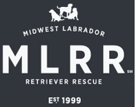 Hometown Heroes - Midwest Lab Retriever Rescue