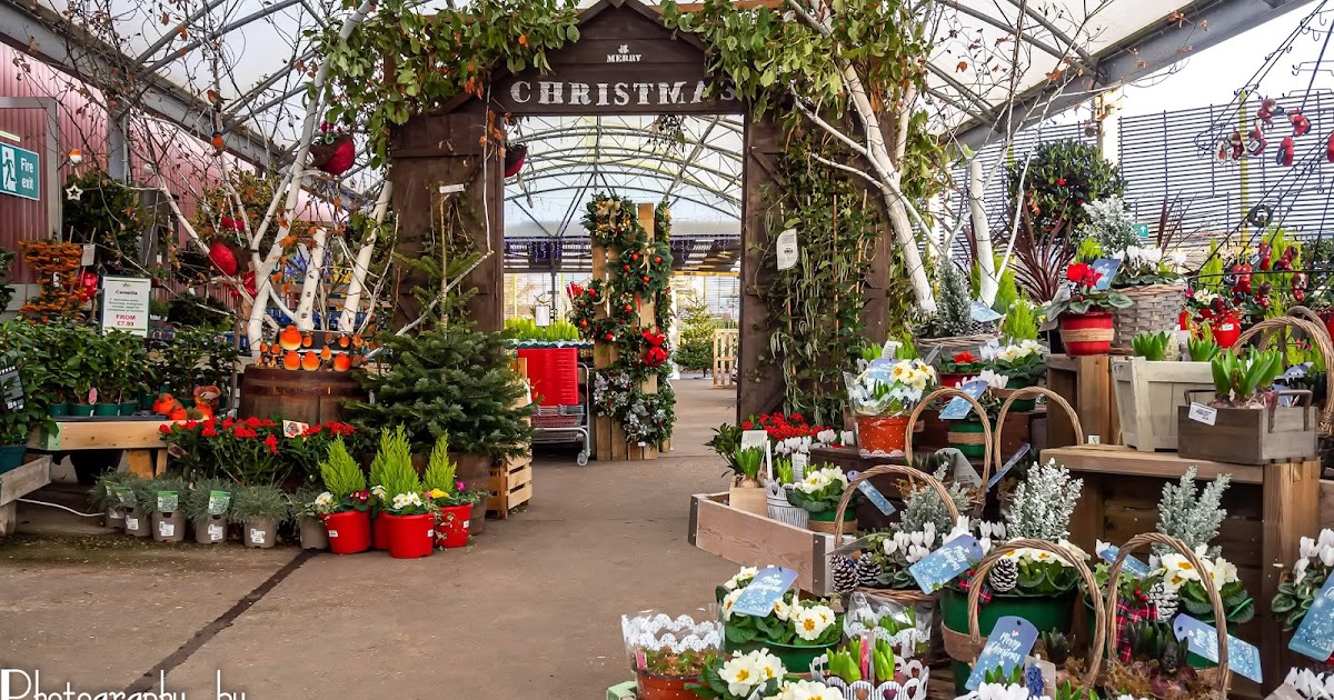 Lincolnshire Cam Louth Garden Centre at Christmas. (Part 1 of 2).