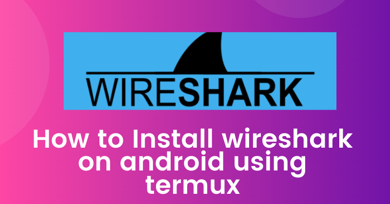 wireshark for android how to use