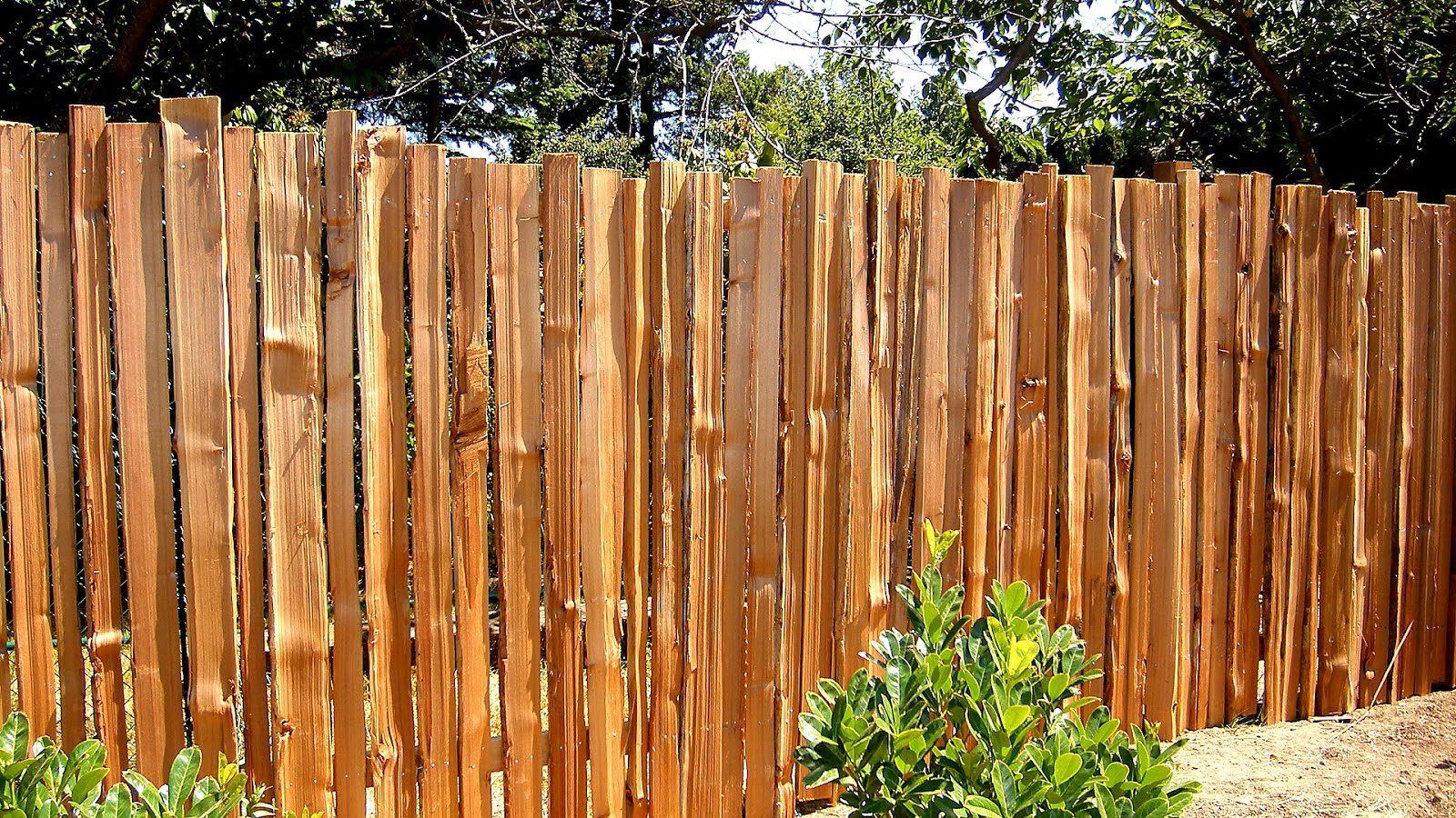 Fence Privacy Fence Laws Fence Choices