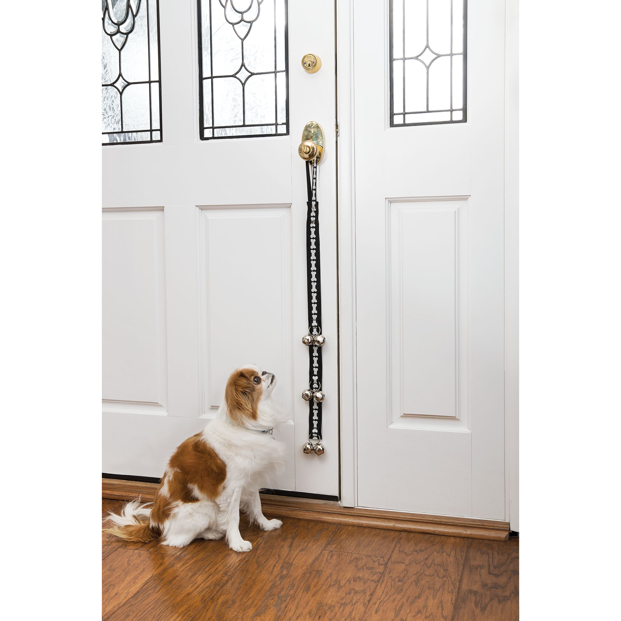 HOW TO BELL TRAIN YOUR DOG TO GO OUTSIDE