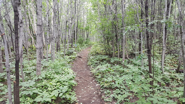 Départ du sentier Pioui