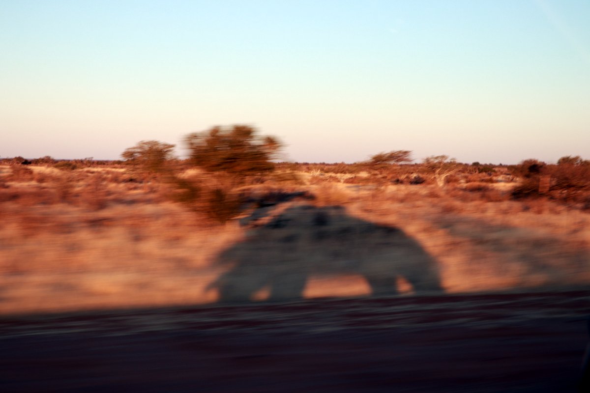 Вшестером по Намибии на джипах в пандемию