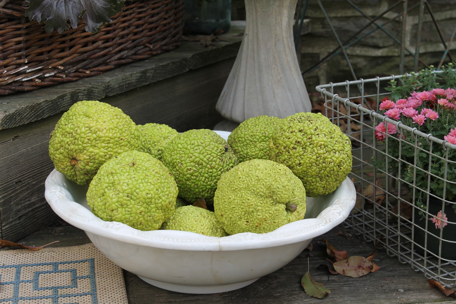 Rebecca Lukens Designs Decorating with Osage oranges