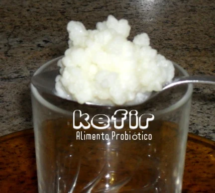 Kefir Alimento Probiótico