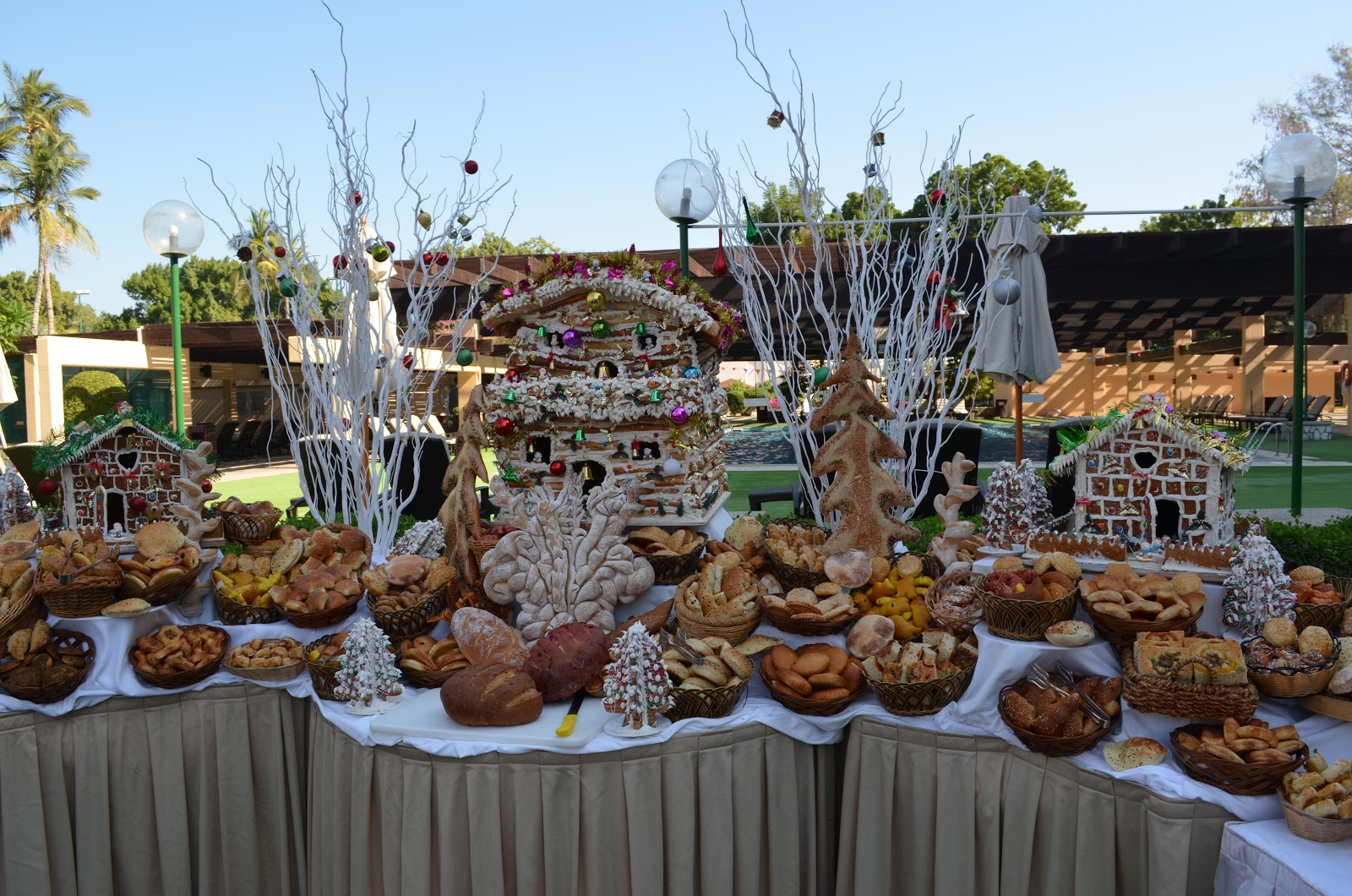 Oman? Oh My!! Our First Christmas in Oman