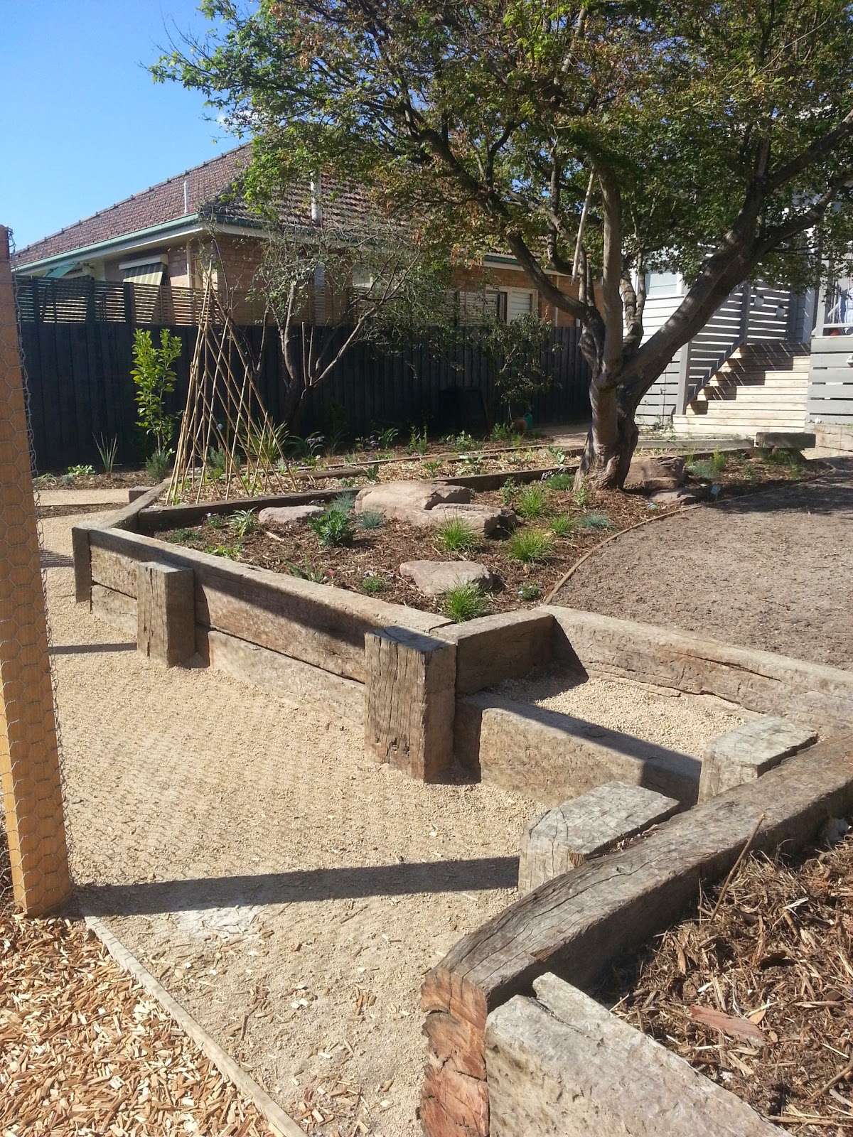 Simon Marshall Horticulture and Design Box Hill Job