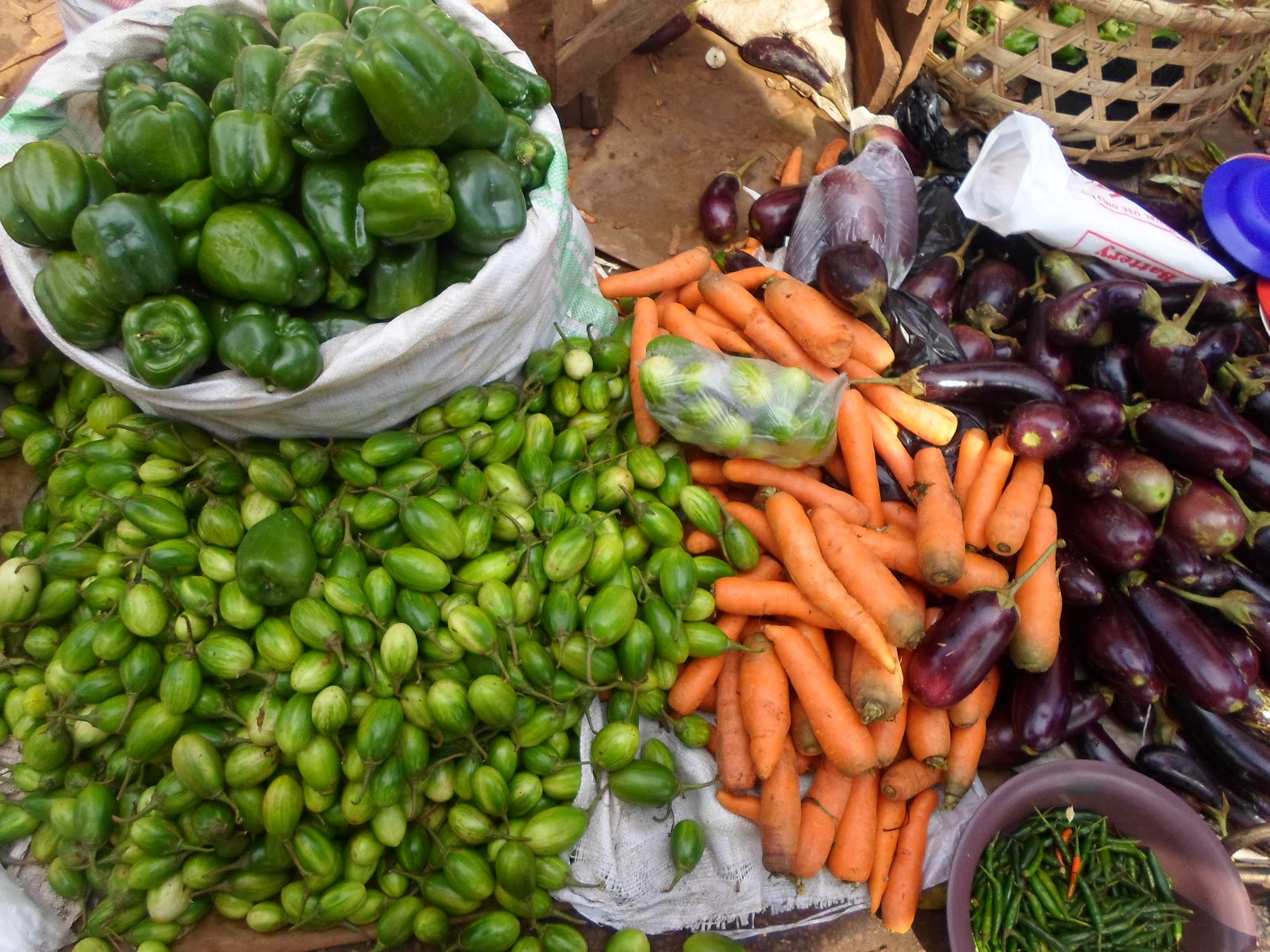 COMMON NAME OF DIFFERENT VEGETABLES