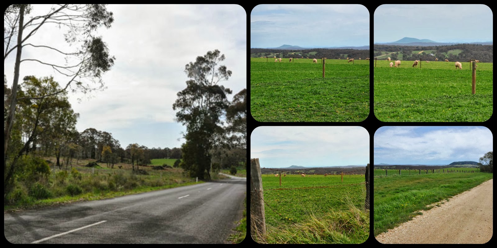 a bit of everything Porcupine Ridge Road....