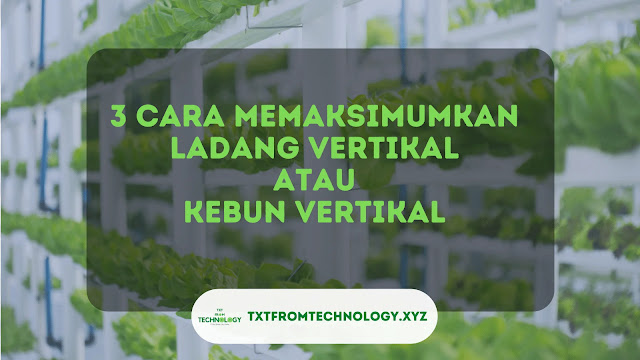 3 Cara Memaksimumkan Ladang Vertikal