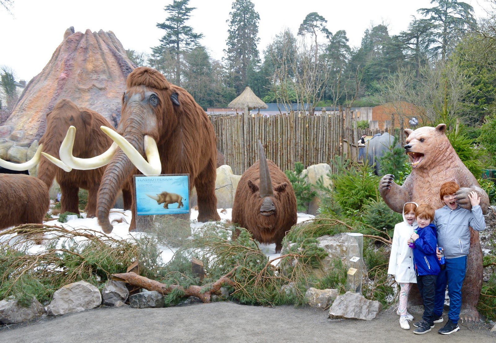 How to Spend 5 Hours at West Midland Safari Park with Older Children