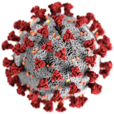 Corona Virus
