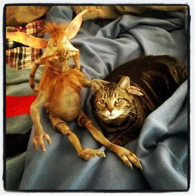 Kailey & Salacious Crumb