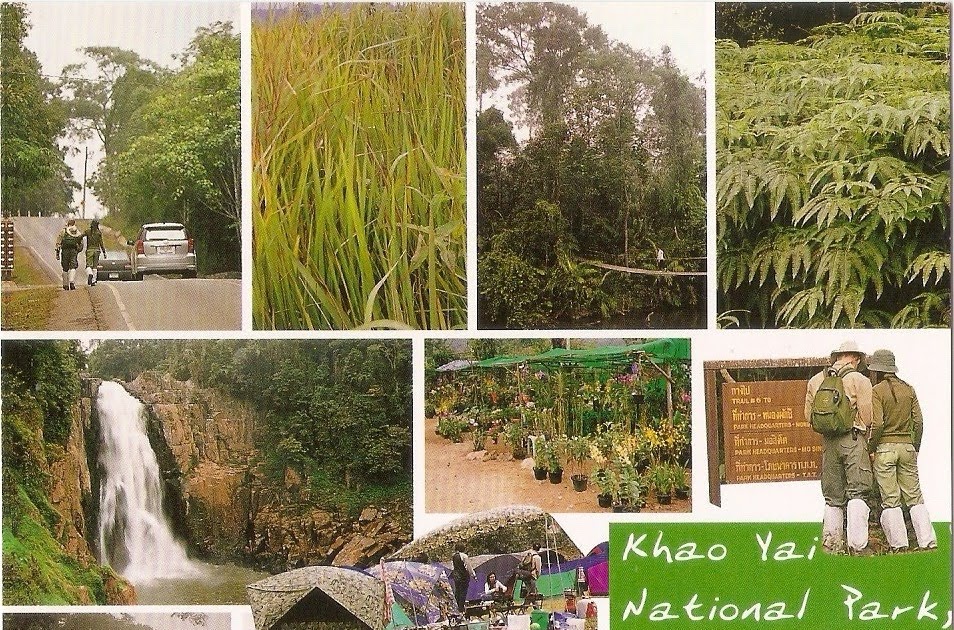 My UNESCO World Heritage Postcards Thailand Dong PhayayenKhao Yai