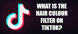 What Is The Hair Colour Filter On TikTok? | How To Get The Hair Colour Filter On TikTok?