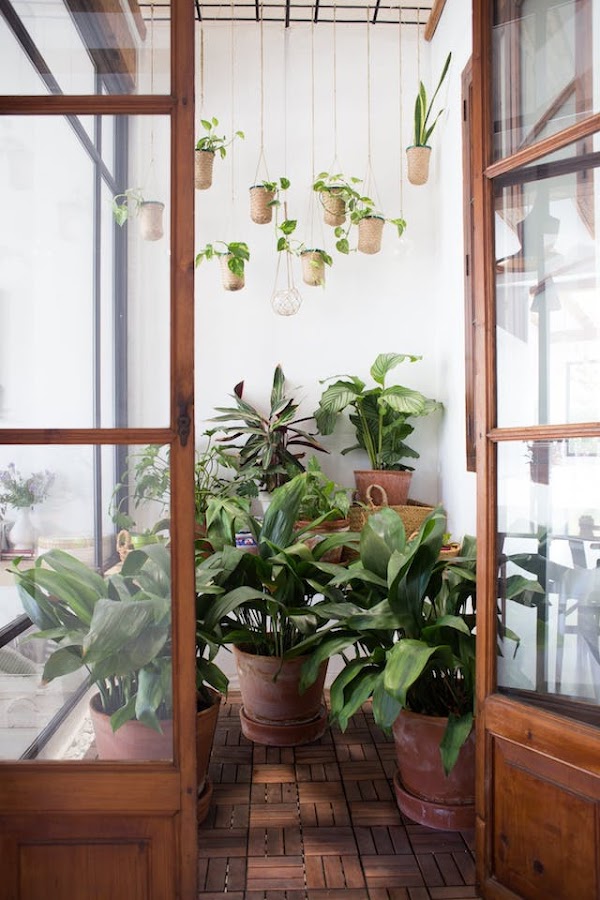patio interior con plantas