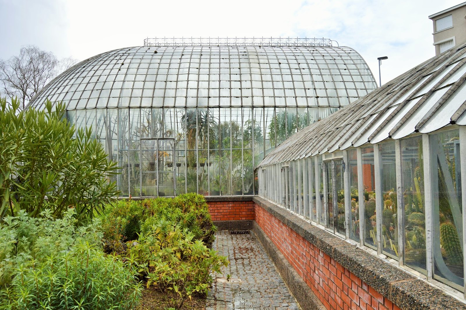 l'atelier du 23 UN PETIT TOUR AU JARDIN DES PLANTES DE NANTES