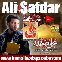 ishqehaider.blogspot.com/2013/07/ali-safdar-nohay-2014.html