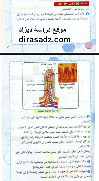 حل النشاط 2 صفحة 19و20 العلوم الطبيعية للسنة الرابعة متوسط جيل الثاني حل النشاط 2 صفحة 19و20 العلوم الطبيعية للسنة 4 متوسط جيل الثاني