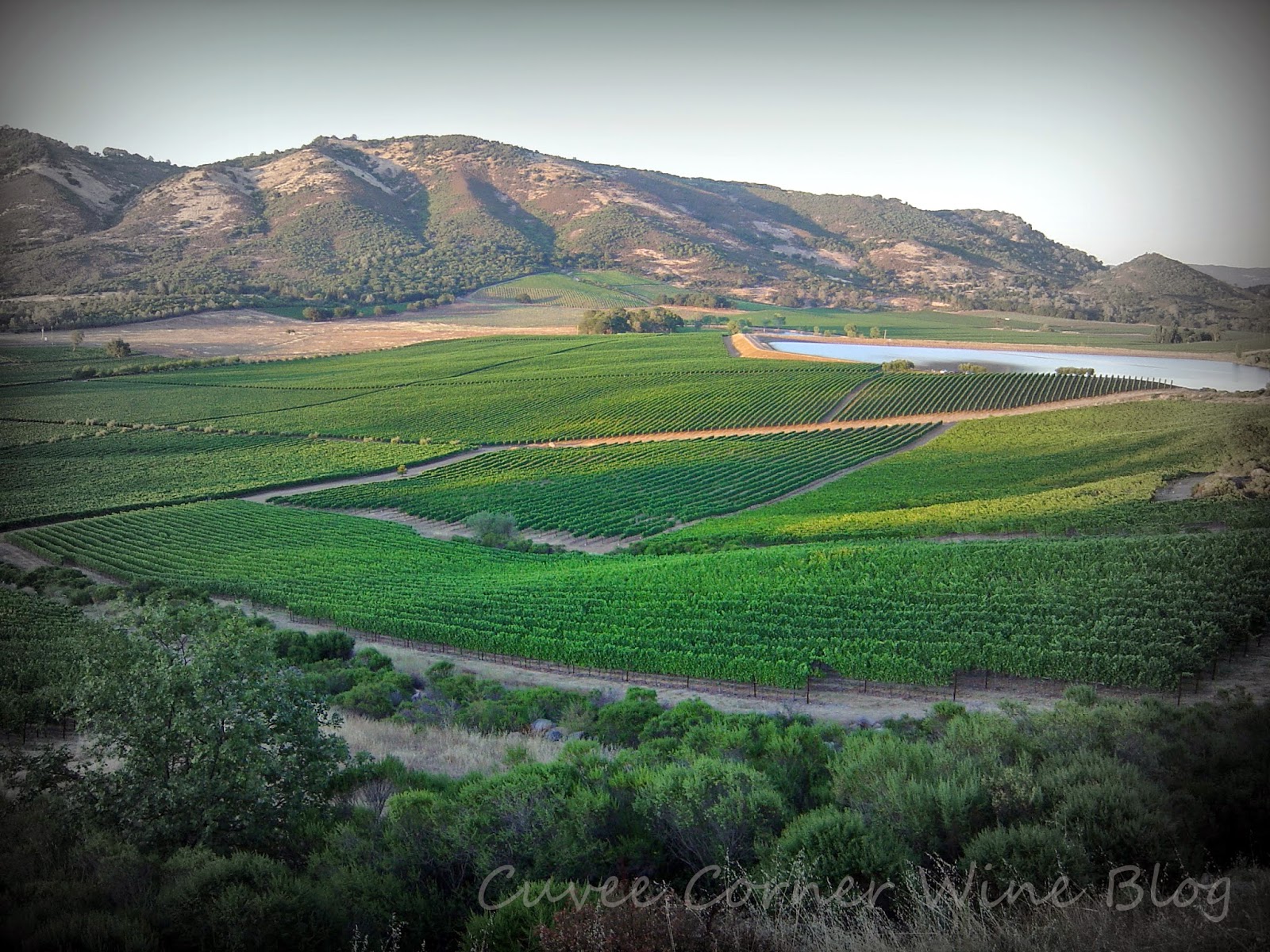 10 Napa Valley Wineries Prestige Brands and Amazing Quality