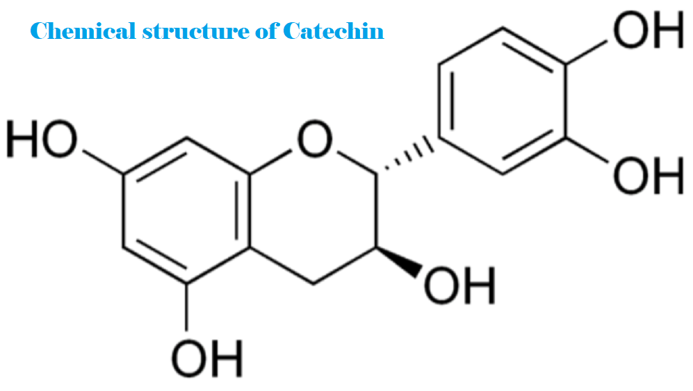 PROCESSING OF FOOD Processing of white tea