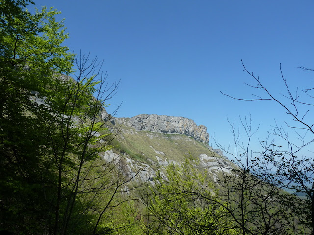 GURDIETA Y ALTO DE LA EGAÑA (El esplendor de la primavera) P1160346_resize