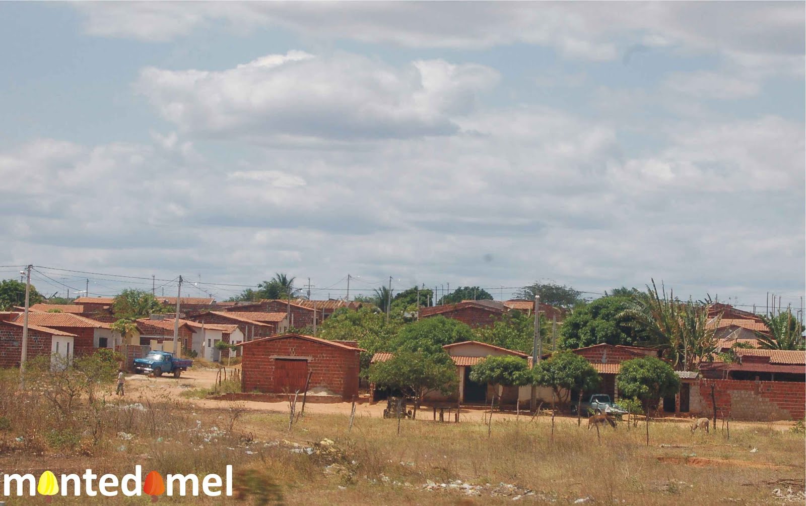 Monte do Mel Apicultura em Apodi Rio Grande do Norte BRASIL