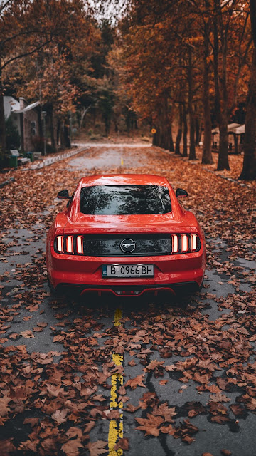 Autumn Ford Mustang Sports Car