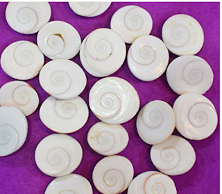 गोमती चक्र पहनने के फायदे क्या आप जानते हैगोमती चक्र के जीवन में बहुत बड़े फायदे जीवन बदल सकता है गोमती चक्र श्रम वीर भारत न्यूज़/एस्ट्रोलोजी/ todey गोमती चक्र पहनने के फायदे क्या आप जानते हैगोमती चक्र के जीवन में बहुत बड़े फायदे जीवन बदल सकता है गोमती चक्र श्रम वीर भारत न्यूज़/एस्ट्रोलोजी/ todey