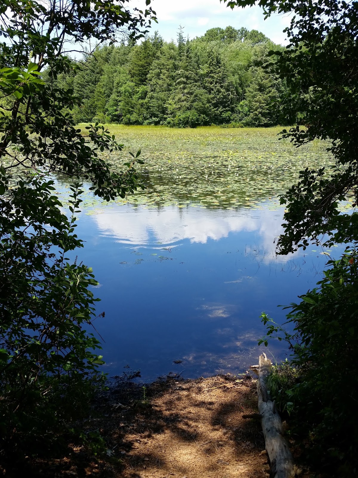A Mike Who Likes to Hike