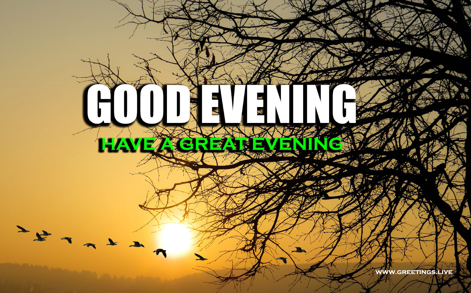 Good evening do you have a. Good Evening Greetings.